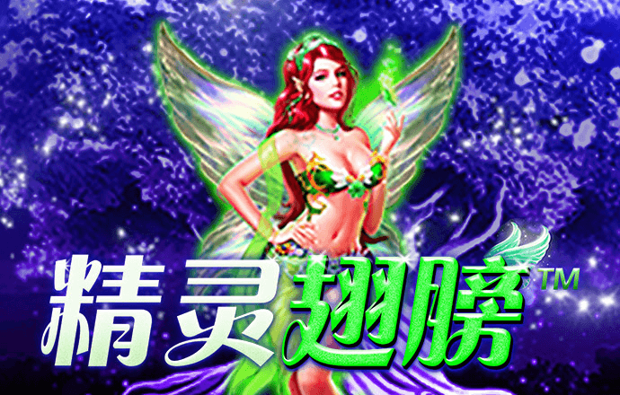IM体育娱乐平台
